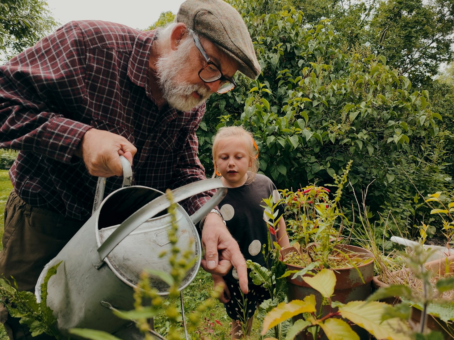 Köstliche Gerichte mit frischen Gartenkräutern